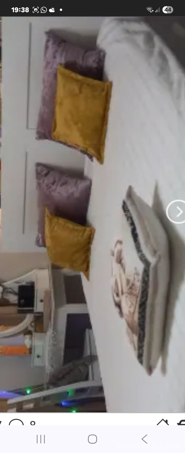 Индивидуалка Домина Кэт Центральный Фотография 