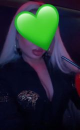 Миниатюра Индивидуалка Памэла ККБ Фотография 